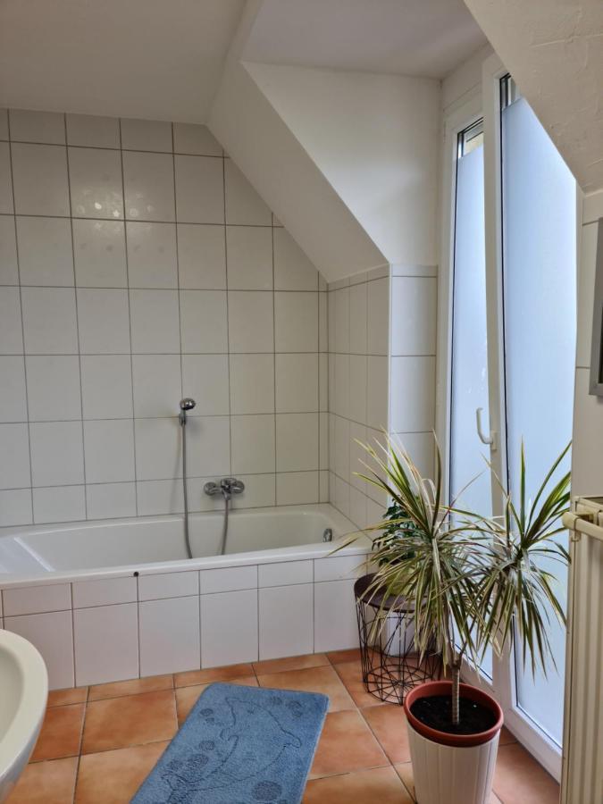 Apartamento Lichtdurchflutetes Zimmer - Marienberg Waldbuttelbrunn Exterior foto